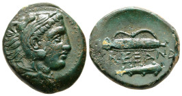 Kings of Macedon. Uncertain mint. Alexander III "the Great" 336-323 BC. Bronze Æ