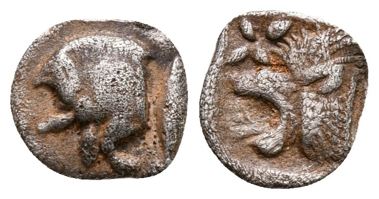 Mysia. Kyzikos circa 450-400 BC. 
Hemiobol AR

9 mm, 0,32 g



nearly ver...