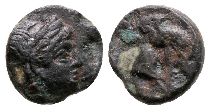 Aiolis. Aigai circa 400-200 BC. 
Bronze Æ

10 mm, 0,90 g



very fine