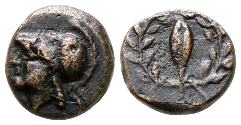 Aiolis. Elaia circa 350-300 BC. 
Bronze Æ

11 mm, 1,64 g



very fine