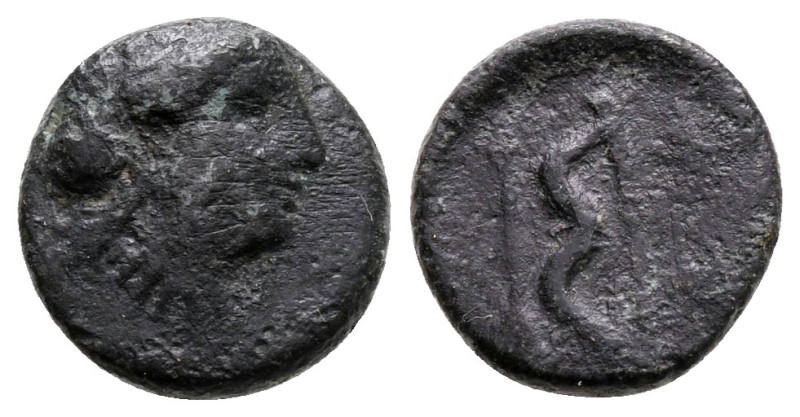 Ionia. Myous circa 400-380 BC. 
Bronze Æ

10 mm, 1,13 g



nearly very fi...