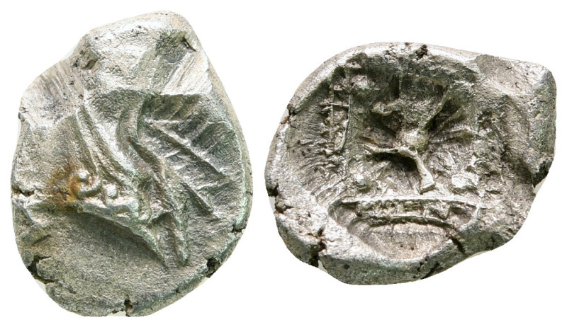 Caria. Kindya circa 510-480 BC. 
Tetrobol AR

14 mm, 1,78 g



very fine