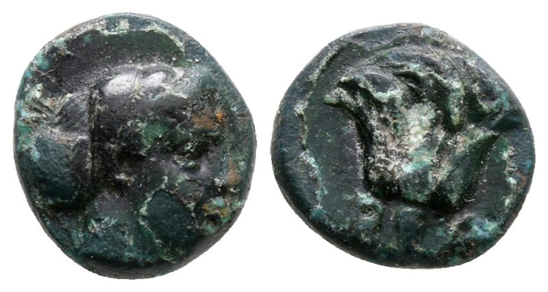 Islands off Caria. Rhodos circa 350-300 BC. 
Bronze Æ

10 mm, 1,22 g



v...