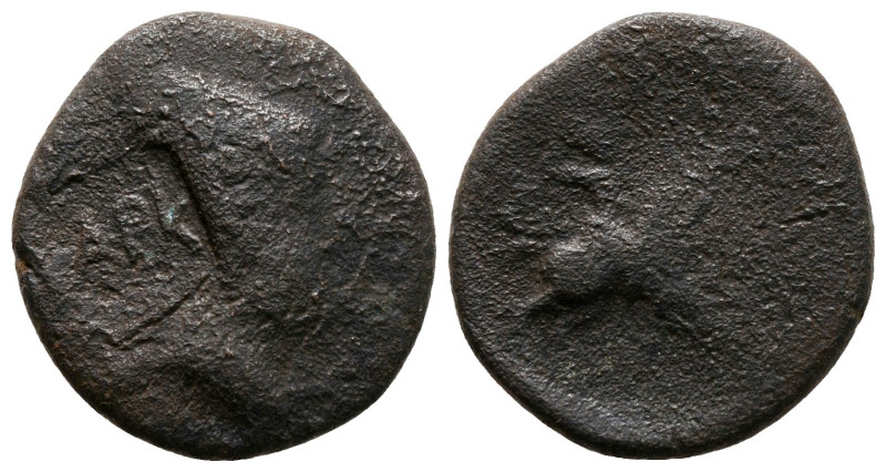 Kings of Sophene. Arsames 240 BC. 
Bronze Æ

19 mm, 4,26 g



fine