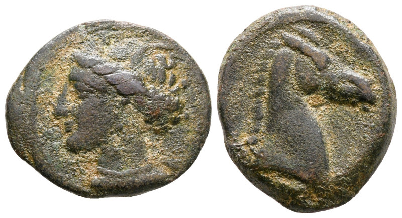 Zeugitana. Carthage circa 300-264 BC. 
Bronze Æ

21 mm, 4,60 g



nearly ...