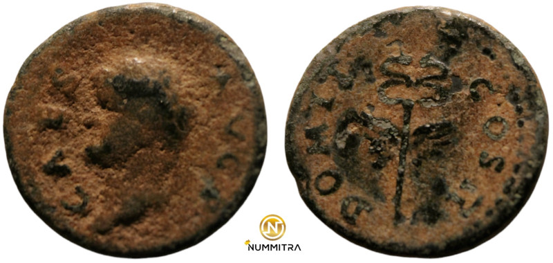 Vespasian. (74 AD). Æ Quadrans. (17mm, 2,56g). Rome. Obv: CAES AVG F. laureate b...