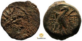 Antiochos VIII. Epiphanes. (109-96 BC). Bronze Æ. (19mm, 5,73g) Antioch.