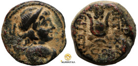 Antiochos VII. Euergetes. (138-129 BC). Bronze Æ. (17mm, 5,85g) Antioch.