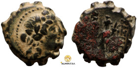 Alexander II. Zabinas (128-122 BC). Bronze Æ. (18mm, 5,87g) Antioch.