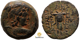 Antiochos VII. Euergetes. (138-129 BC). Bronze Æ. (17mm, 5,17g) Antioch.