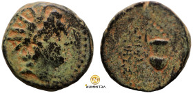 Antiochos VI. Dionysos. (144-142 BC). Bronze Æ. (17mm, 4,69g) Antioch.