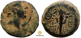 Antiochos IX. Philopator. (114-113 BC). Bronze Æ. (19mm, 6,31g) Antioch.