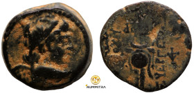 Antiochos VII. Euergetes. (138-129 BC). Bronze Æ. (16mm, 5,74g) Antioch.