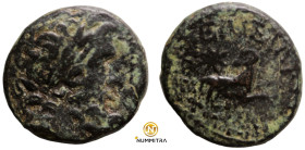 under Silanus. (12-13AD). Pseudo-autonomous Bronze Æ. (19mm, 6,64g). Antioch.