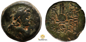 Antiochos VII. Euergetes. (138-129 BC). Bronze Æ. (18mm, 6,20g) Antioch.