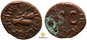 Augustus. (9 BC). Æ Quadrans. (17mm, 2,92g) Rome. Obv: clasped right hands holding caduceus. Rev: SC.