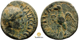 Trajan. (98-117 AD). Æ Bronze. (17mm, 3,52g) Syria. Obv: laureate bust of Trajan right. Rev: eagle.