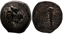 Antiochos VII. Euergetes. (138-129 BC). Bronze Æ. (16mm, 2,85g) Antioch.