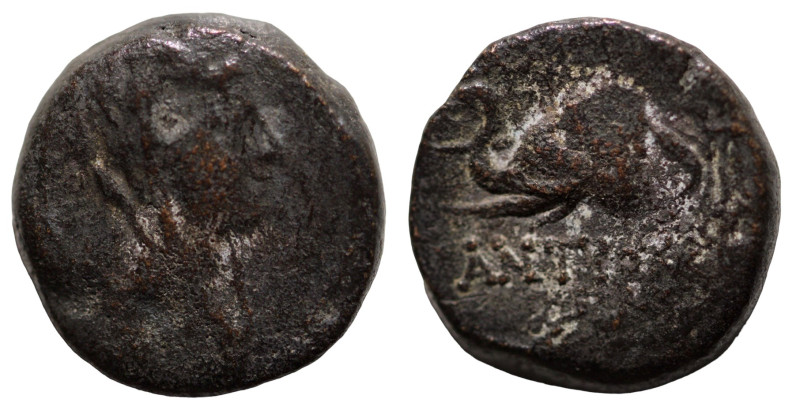 Antiochos IV. Epiphanes. (175-164 BC). Bronze Æ. (15mm, 4,12g) Antioch.