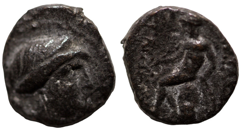 Seleukos III. Keraunos. (226-223 BC). Bronze Æ. (15mm, 3,50g) Antioch.