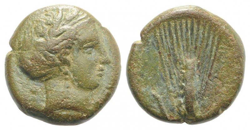 Southern Lucania, Metapontion, c. 300-250 BC. Æ (15mm, 4.36g, 5h). Wreathed head...
