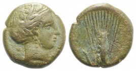 Southern Lucania, Metapontion, c. 300-250 BC. Æ (15mm, 4.36g, 5h). Wreathed head of Demeter r., wearing earring and necklace. R/ Grain ear with leaf t...