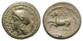 Sicily, Kamarina, c. 339-317 BC. Æ (15mm, 3.57g, 7h). Helmeted head of Athena l. R/ Horse prancing l.; grain ear in exergue. CNS III, 42; HGC 2, 555. ...