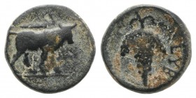 Euboea, Euboian League, c. 272-267 BC. Æ (11mm, 2.01g, 12h). Bull standing r.; club above. R/ Grape bunch on vine. BCD Euboia 69. Green patina, about ...