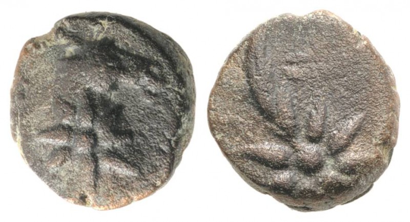 Pontos, Uncertain, c. 130-100 BC. Æ (10.5mm, 2.09g, 9h). Head of horse r., with ...