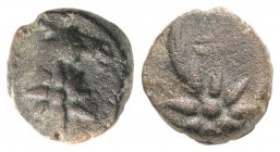 Pontos, Uncertain, c. 130-100 BC. Æ (10.5mm, 2.09g, 9h). Head of horse r., with star of eight points on its neck. R/ Comet star of eight points with t...