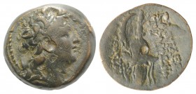Seleukid Kings, Tryphon (c. 142-138 BC). Æ (17mm, 3.97g, 12h). Antioch on the Orontes. Diademed head r. R/ Spiked Macedonian helmet adorned with a wil...