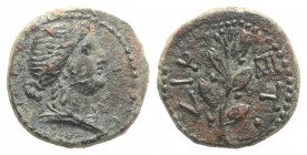 Seleukis and Pieria, Antioch. Civic issue. Æ Dichalkon (15mm, 3.38g, 12h), year 117 (AD 68/9). Head of Apollo r., wearing tainia. R/ Palm branch. McAl...