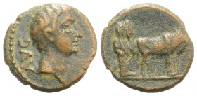 Tiberius (14-37). Macedon, Philippi. Æ (20mm, 4.85g, 6h). Bare head r. R/ Two priests plowing r. RPC I 1657; SNG Copenhagen 283 (Parium). Brown patina...