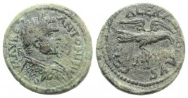 Caracalla (198-217). Troas, Alexandria. Æ (25mm, 7.63g, 6h). Laureate and cuirassed bust r. R/ Eagle standing r., wings spread, holding forepart of bu...
