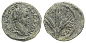 Severus Alexander (222-235). Cappadocia, Caesarea. Æ (20mm, 6.80g, 11h), year 7 (AD 228). Laureate head r. R/ Three grain ears. RPC VI online 6848 (te...