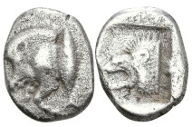 Greek
MYSIA. Kyzikos. (450-400 BC)
AR Diobol (12.2mm 1.05g)