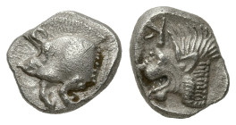 Greek
MYSIA. Kyzikos (450-400 BC)
AR Obol (8.7mm 0.82g)