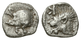 Greek
MYSIA. Kyzikos (450-400 BC)
AR Obol (9.66mm 0.71g)