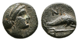 Greek Coins 
CARIA. Nisyros. Ae (1,0 gr - 10,00 mm) (Mid 4th-late 3rd century BC).
Obv: Diademed head of Aphrodite(?) right.
Rev: NI.
Dolphin right; b...
