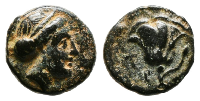 Greek Coins
CARIA. Rhodes. (404-circa 385 BC). Ae.
Obv: Head of nymph of Rhodes ...