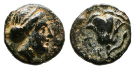 Greek Coins
CARIA. Rhodes. (404-circa 385 BC). Ae.
Obv: Head of nymph of Rhodes right.
Rev: [T] - P.
Rose with buds to left and right.
1,2 gr - 10,90 ...