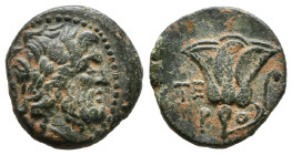 Greek Coins
CARIA. Rhodes. Ae Tetrachalkon (7,8 gr - 19,50 mm) (Circa 229-205 BC).
Obv: Laureate head of Zeus right.
Rev: P - O. Rose with bud to righ...