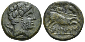 HISPANIA ANTIGUA. BOLSKAN. Unidad. A/ Cabeza masculina con collar a der., detrás delfín. R/ Jinete lancero a der., detrás estrella, debajo BoLSKaN. AE...