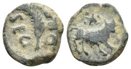 HISPANIA ANTIGUA. SEGÓBRIGA. Cuadrante. A/ Palma; SEG-OBR. R/ Toro der., encima estrella en forma de X con puntos. AE 2,74 g. 14,8 mm. I-2184; APRH-47...