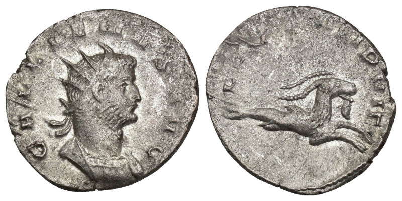 IMPERIO ROMANO. GALIENO. Antoniniano. Mediolanum (258). A/ Busto radiado y acora...