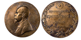 MONEDAS EXTRANJERAS. FRANCIA. Medalla. Dr. Roux. 25 años del Instituto Pasteur. 1888-1913. AE 65,3 mm. Pequeñas marcas. MBC.