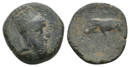 KINGS OF ARMENIA. Tigranes V (Circa 6-12). Ae.
3.86 Gr. 15 mm.