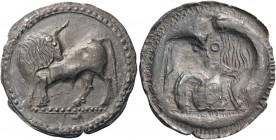 GREEK COINS 
 LUCANIA 
 Sybaris. Circa 550-510 BC. Stater (Silver, 30mm, 7.98 g 12). VM Bull standing to left on dotted ground line, head turned bac...