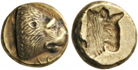 GREEK COINS 
 LESBOS 
 Mytilene. Circa 478-455 BC. Hekte (Electrum, 10mm, 2.48 g). ΛΕ Head of a lion to right, with closed mouth. Rev. Head of a bul...