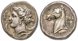 Siculo-puniques, Lilybée 320-310 avant J.-C.
Tétradracme, AG 17.01 g.
Anépigraphe Tête de Tanit à gauche, la coiffure ornée d’épis avec un collier d...